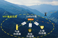 森林树网LoRa网关组网